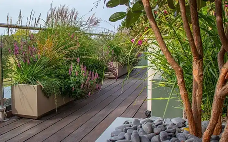natural terrace