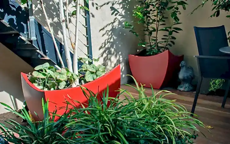 red planters