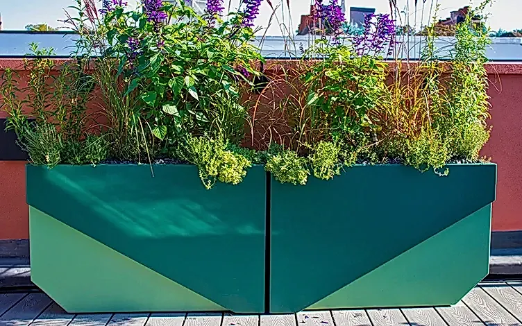 planters