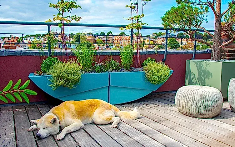 small rooftop