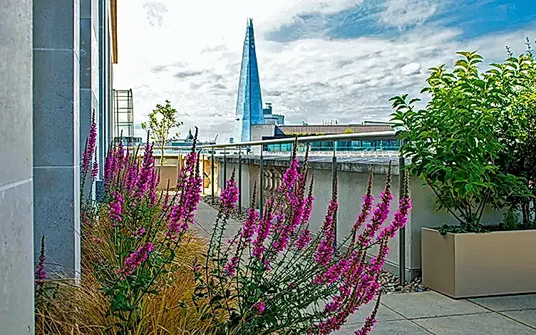 eco planting