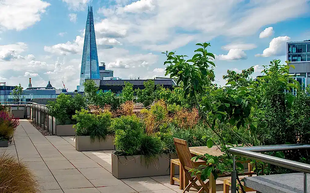 office roof terrace design london
