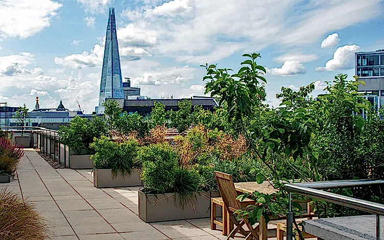 office roof garden