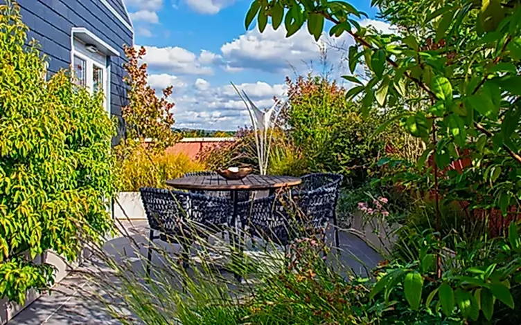 modern rooftop