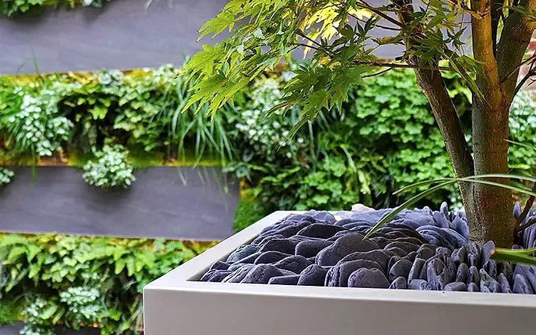 detail