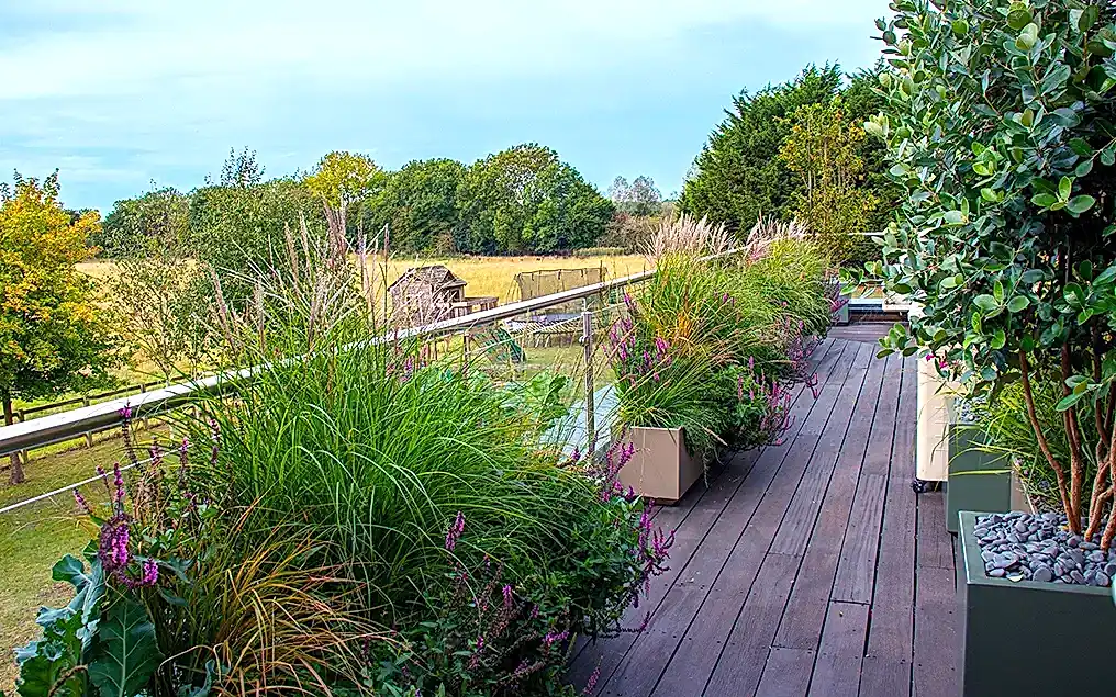 wd3 roof garden