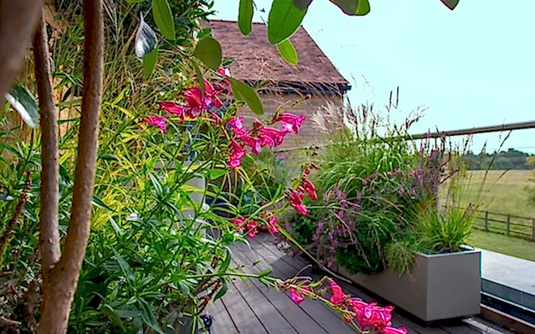 colour