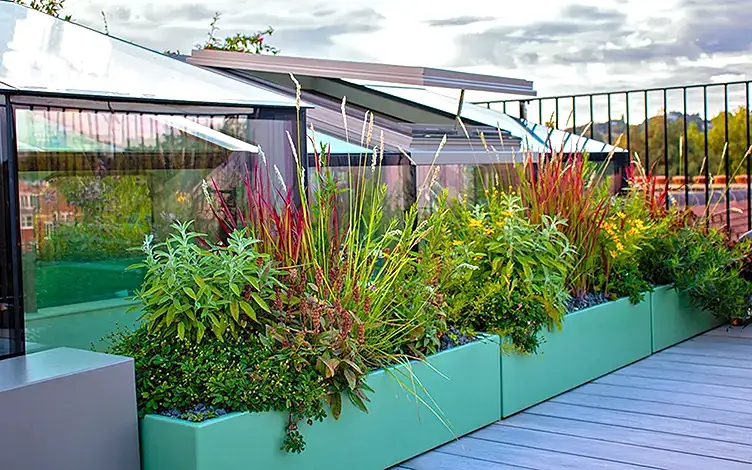 troughs