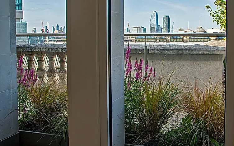 view