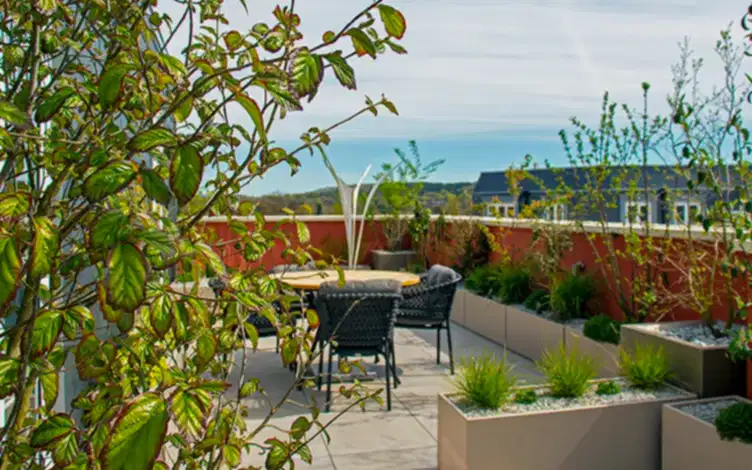 landscaping