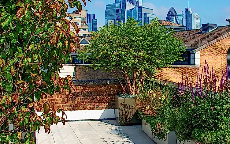 tree