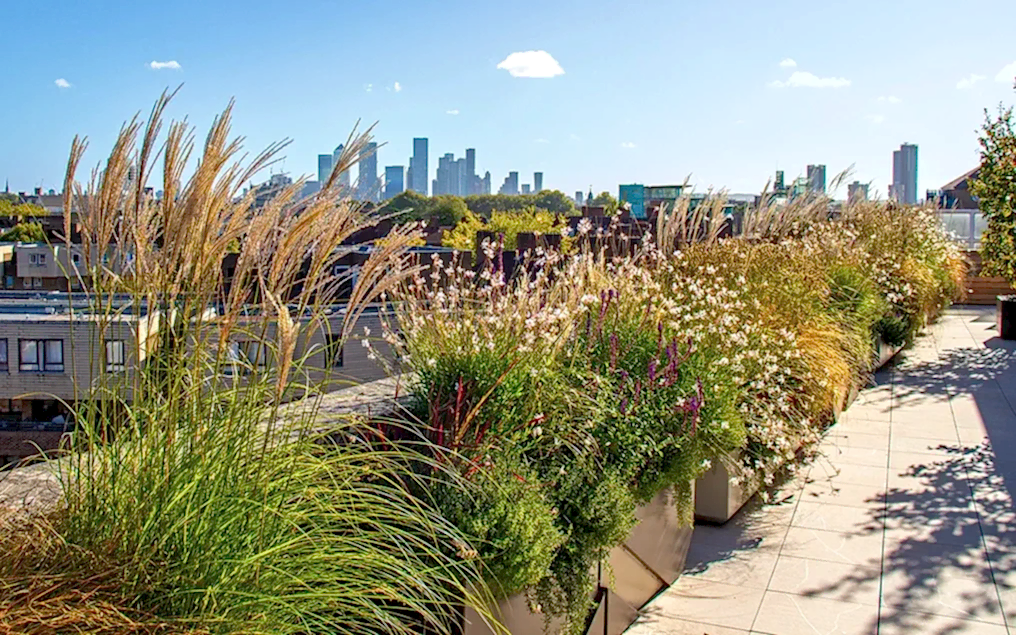 tower bridge roof garden