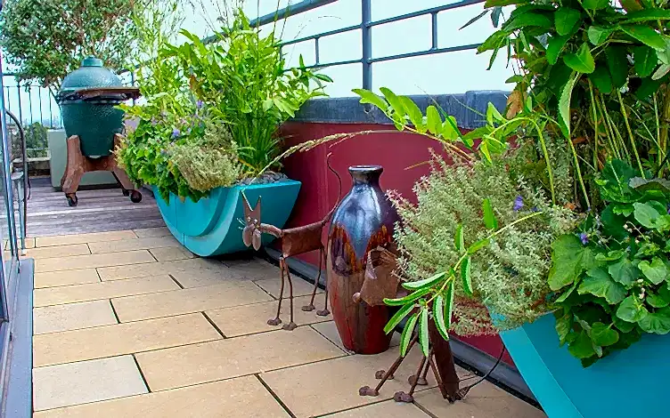 plants
