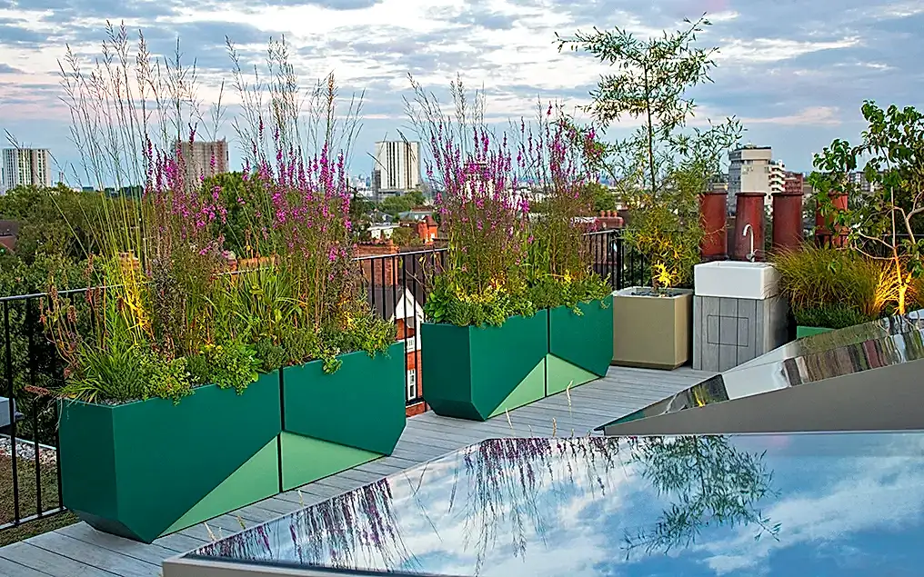hampstead rooftop