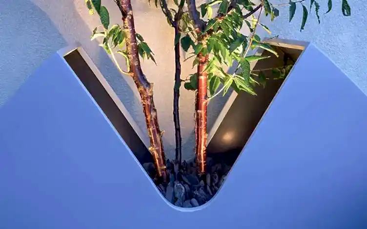 large