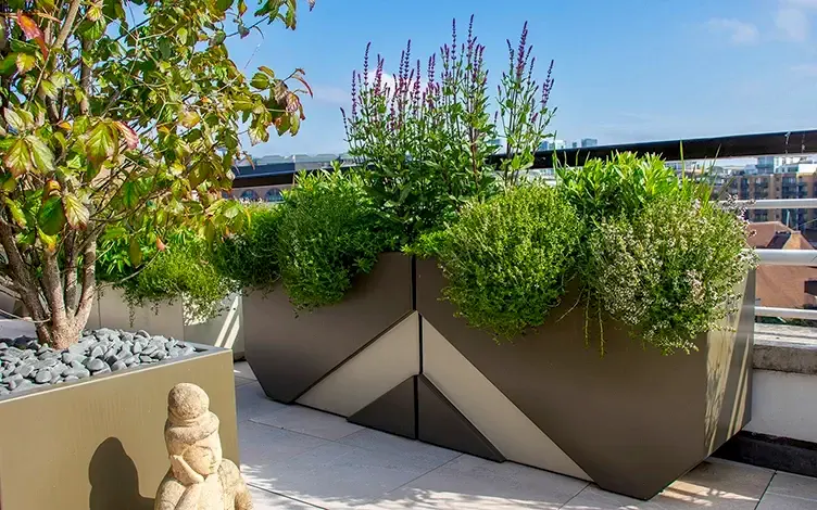 planters