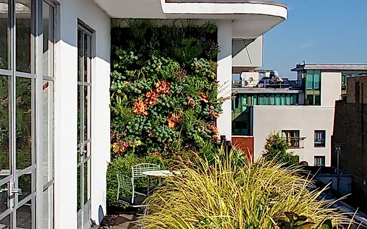 green wall
